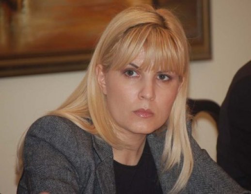 Udrea: PDL nu este adversarul Mişcării Populare, e nevoie de colaborarea opoziţiei împotriva USL